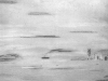 p_212